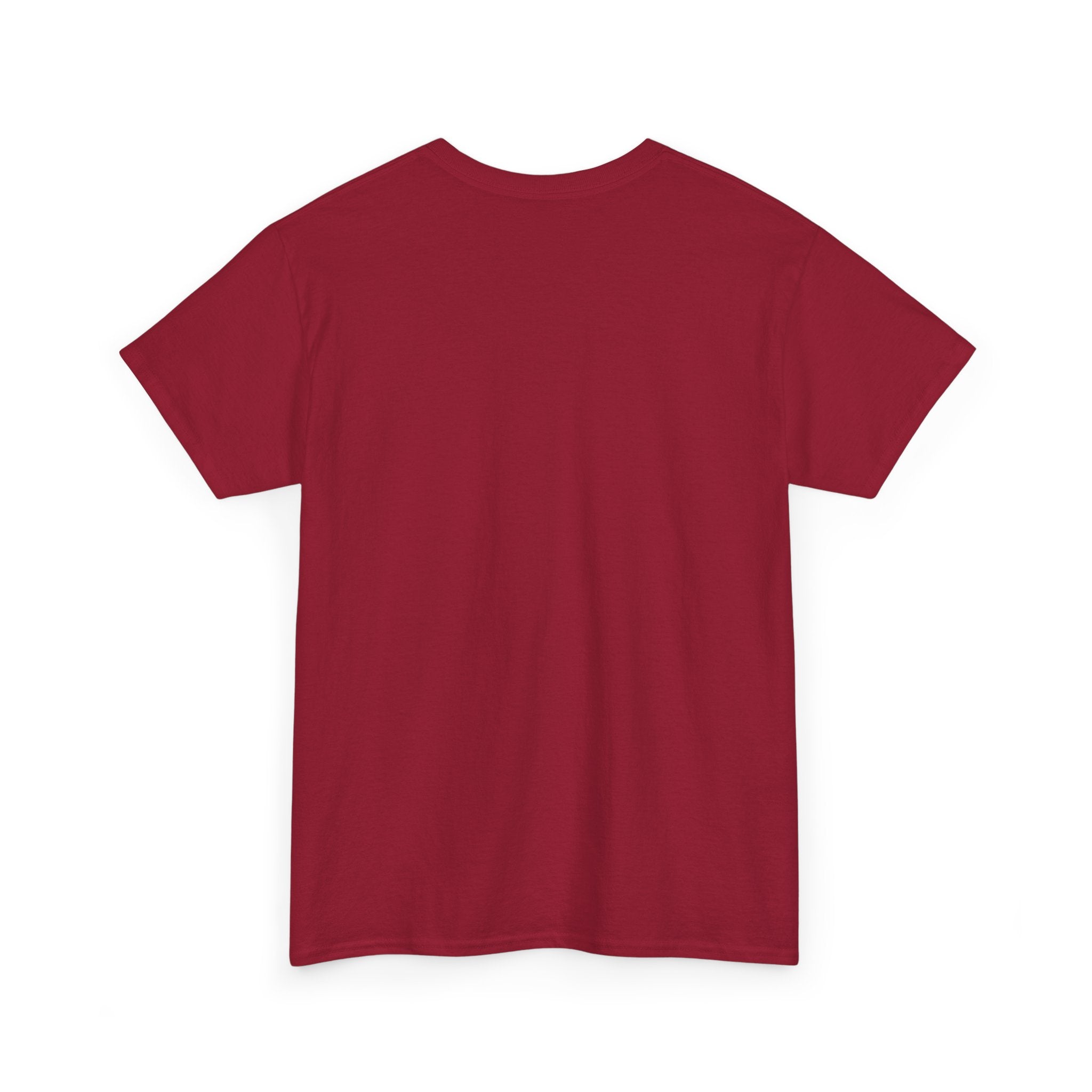 Obama for Prison 2025 Tee